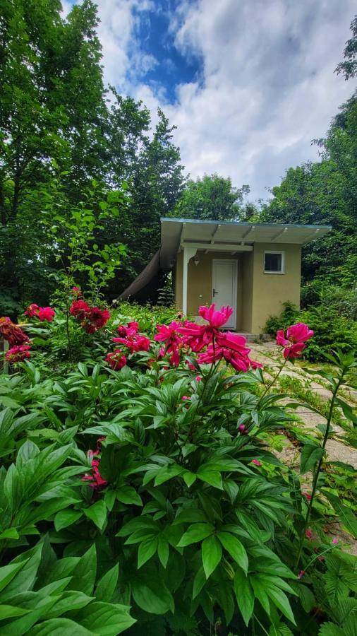 The Bungalow Brassó Kültér fotó